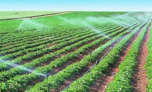 亚洲性爱视频农田高 效节水灌溉